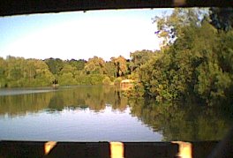 View to the East from hide