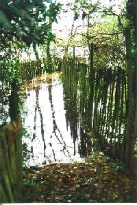 Floodwater at entrance to hide