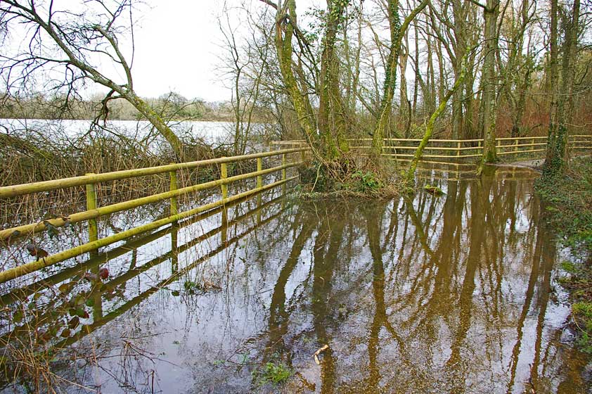 Floods in March 2007