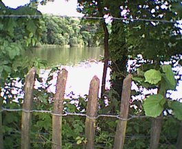 View through fence